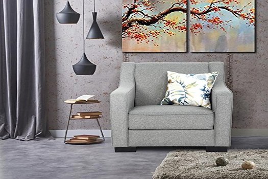 Enjola Single Seater sofa - Premium Fabric
